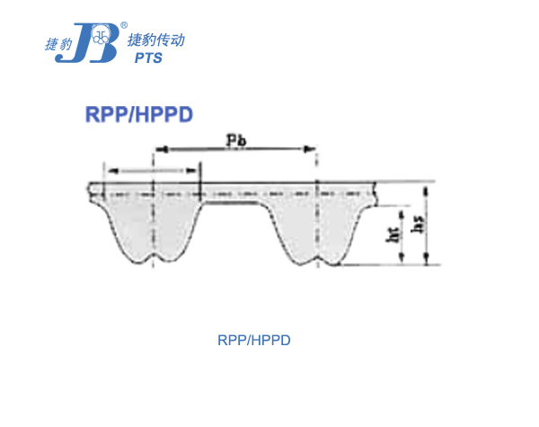 RPP HPPD示意圖,600 475